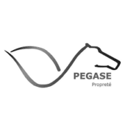 Pegase